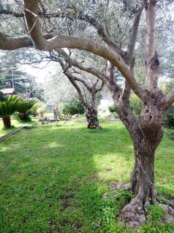 Etna Travellers B&B Mascalucia Exterior foto